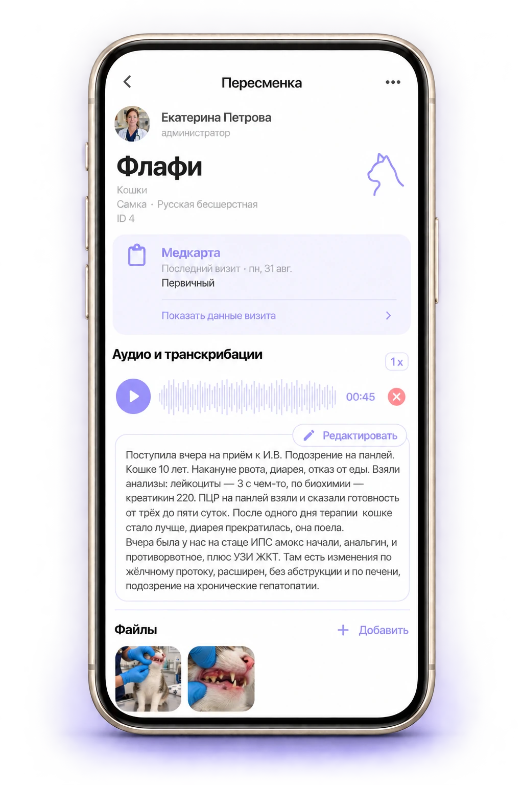 Пересменка по пациенту Флафи: медкарта, голосовая запись, расшифровка и фотографии.